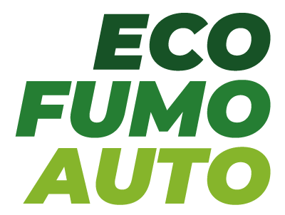 desenvolvimento plataforma prestação serviços automóvel Portugal